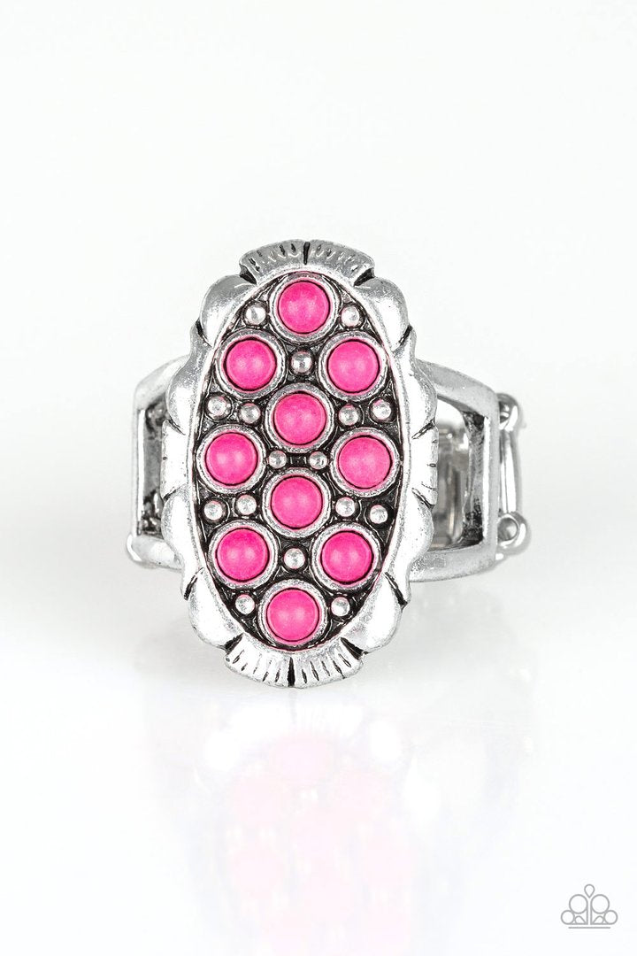 Cactus Garden - Pink and Silver Ring - Paparazzi Accessories - Dainty pink stones are sprinkled across the front of a studded silver frame, creating a vivacious centerpiece atop the finger. Features a stretchy band for a flexible fit. Sold as one individual ring.