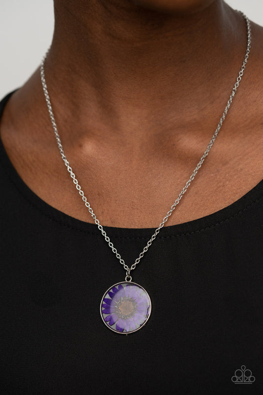 ​Prairie Promenade - Purple Floral and Silver Necklace - Paparazzi Accessories - A purple daisy is encased inside a glassy casing, creating a whimsical floral pendant beneath the collar. Features an adjustable clasp closure. Sold as one individual necklace.